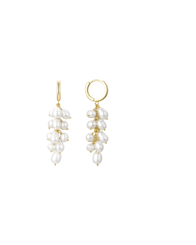 Unos aros de plata de ley con baño de oro amarillo, adornados con un racimo de perlas colgantes. Estos aros combinan la eleganci